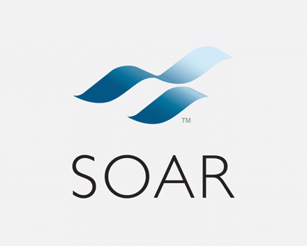 Soar Identity